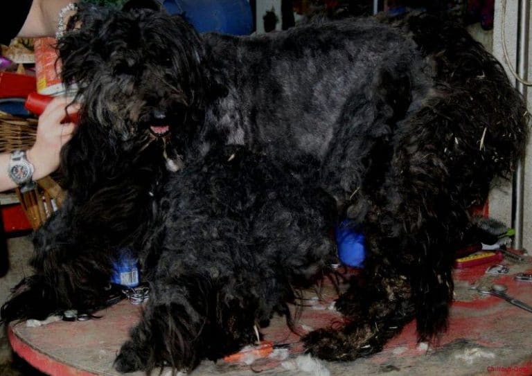 img_0955 Manuela Linussi